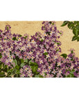 Lilac Doormat